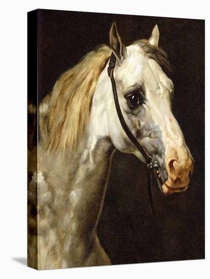 Head of a Piebald Horse-Théodore Géricault-Premier Image Canvas