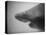 Head of a Shark-Henry Horenstein-Premier Image Canvas