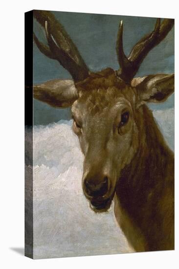 Head of a Stag, 1634, Spanish Baroque-Diego Velazquez-Premier Image Canvas