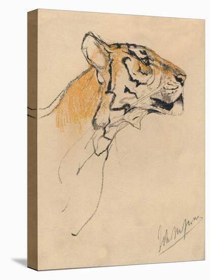 'Head of a Tiger', c1910-John MacAllan Swan-Premier Image Canvas