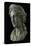 Head of a Woman in the Guise of a Goddess, 1St Century (Copper Alloy and Silver)-Roman-Premier Image Canvas