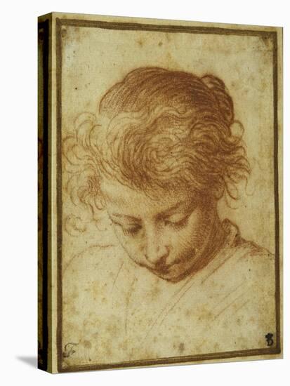 Head of a Young Girl Looking Downwards-Annibale Carracci-Premier Image Canvas