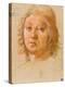 Head of a Young Man Wearing a Beret-Pietro Perugino-Premier Image Canvas