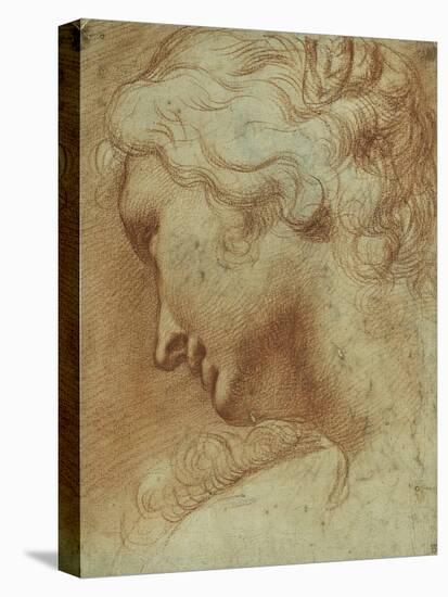 Head of a Young Woman Looking Down over Her Right Shoulder-Agostino Carracci-Premier Image Canvas