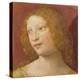 Head of a Young Woman-Bernardino Luini-Premier Image Canvas