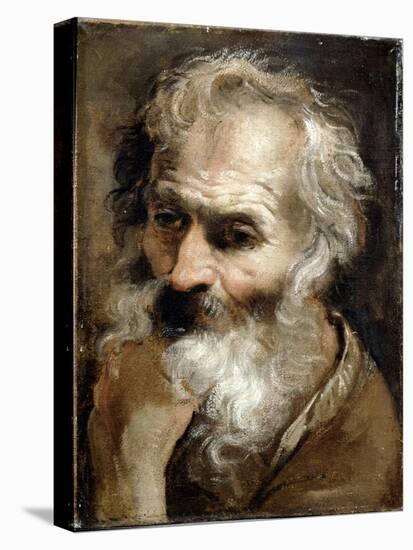 Head of an Old Man, C.1590-92-Annibale Carracci-Premier Image Canvas