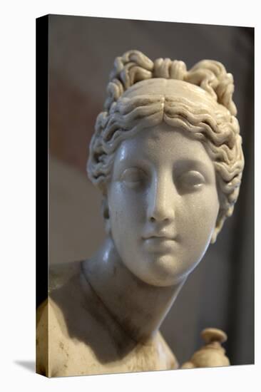 Head of Aphrodite-null-Premier Image Canvas