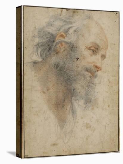 Head of Bearded Man Seen Three-Quarters, Facing Right-Matteo Rosselli-Premier Image Canvas