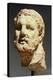 Head of Hercules, Sculpture from Kherson, Ukraine, 3rd-2nd Century BC-null-Premier Image Canvas