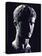 Head of Octavian: the Emperor Augustus-Gjon Mili-Premier Image Canvas