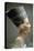 Head of Queen Nefertiti of Egypt. Artist: Unknown-Unknown-Premier Image Canvas