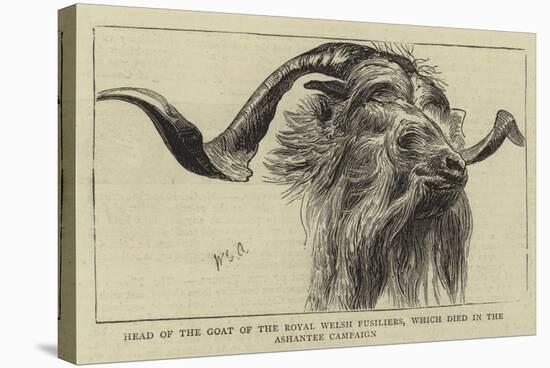 Head of the Goat of the Royal Welsh Fusiliers, Which Died in the Ashantee Campaign-William Edward Atkins-Premier Image Canvas