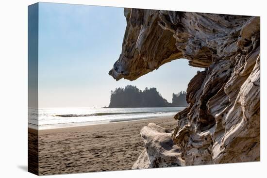 Headland at La Push Beach in the the Pacific Northwest, Washington State, United States of America,-Martin Child-Premier Image Canvas