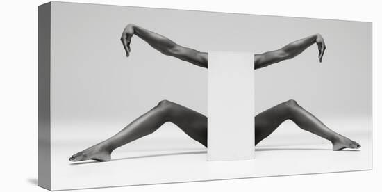 Headless Symmetry-Ross Oscar-Premier Image Canvas