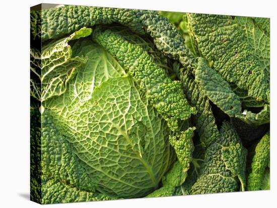 Heads of Lettuce-null-Premier Image Canvas