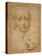 Heads of the Virgin and Child, 1508-1510, Silverpoint on Orange-Pink Paper-Raphael-Premier Image Canvas