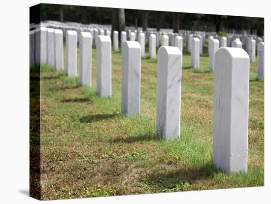 Headstones Mark the Graves of Veterans and their Loved Ones at Barrancas National Cemetery, Naval A-Steven Frame-Premier Image Canvas