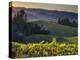 Healdsburg, Sonoma County, California: Vineyard and Winery at Sunset-Ian Shive-Premier Image Canvas