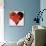 Healing Heart-Parker Greenfield-Stretched Canvas displayed on a wall