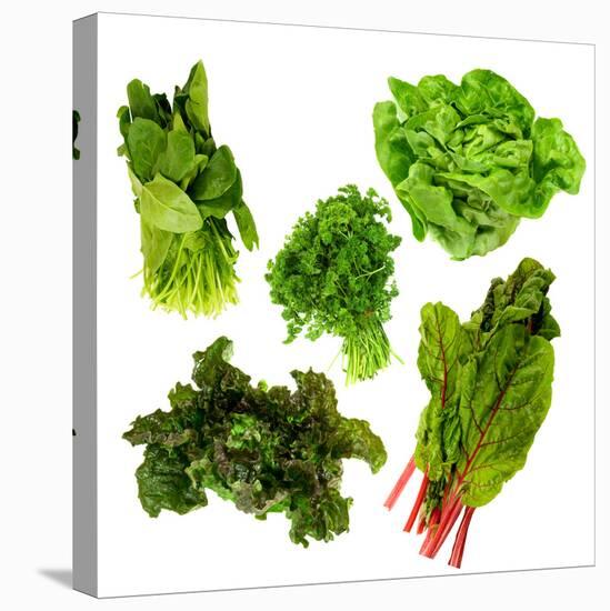 Healthy Dark Green Vegetables-maggy-Premier Image Canvas