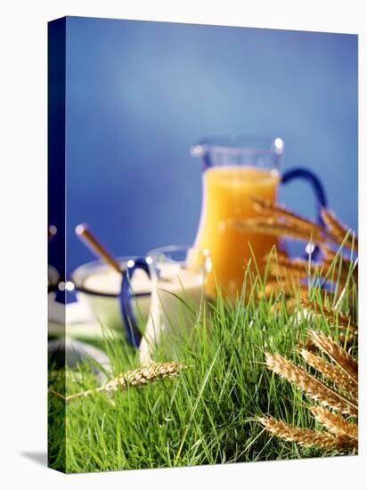 Healthy Ingredients (Quark, Milk, Juice, Cereals) on Grass-null-Premier Image Canvas