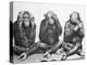 Hear No Evil, See No Evil, Speak No Evil-null-Premier Image Canvas