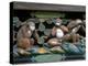 Hear No Evil, Speak No Evil, See No Evil, Toshogu Shrine, Tochigi, Nikko, Japan-Rob Tilley-Premier Image Canvas