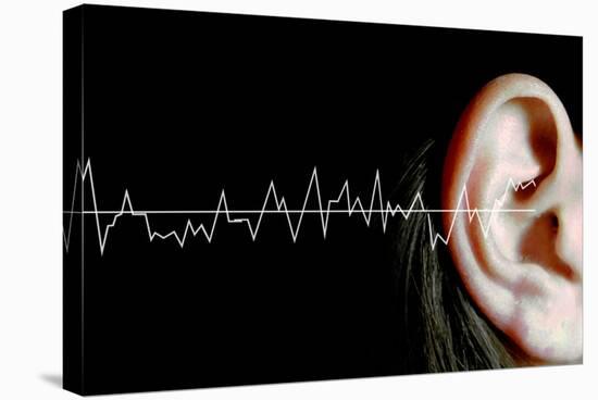 Hearing-Neal Grundy-Premier Image Canvas