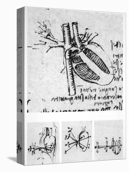 Heart Anatomy, 16th Century-Science Photo Library-Premier Image Canvas
