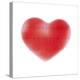 Heart And ECG-Cristina-Premier Image Canvas