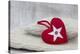 Heart cushions with star of Bethlehem as a token of love, still life-Andrea Haase-Stretched Canvas