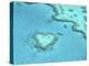 Heart Island, Australia-Yann Arthus-Bertrand-Stretched Canvas