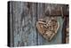 Heart Made of Driftwood, Wood, Door-Andrea Haase-Premier Image Canvas