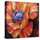 Heart of a Red Poppy-Marcia Baldwin-Premier Image Canvas