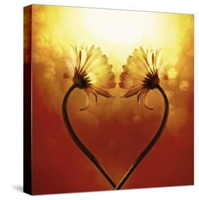 Heart Of Nature-Andreas Stridsberg-Stretched Canvas