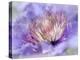 Heart of the Camellia III-Gillian Hunt-Premier Image Canvas