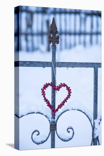 Heart on the Fence and Snow-Andrea Haase-Premier Image Canvas