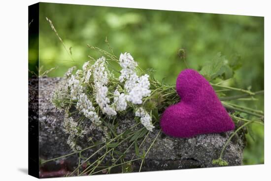 Heart, Pink, Flowers, Wild Chervil, Green-Andrea Haase-Premier Image Canvas