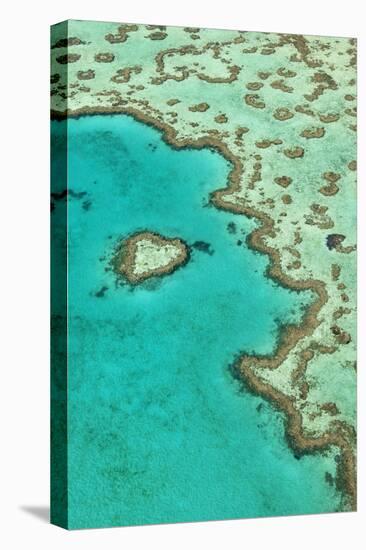 Heart Reef II-Larry Malvin-Premier Image Canvas