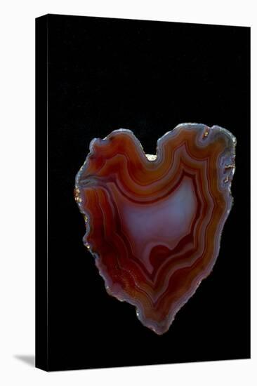 Heart Shaped Banded Agate, Quartzsite, AZ-Darrell Gulin-Premier Image Canvas