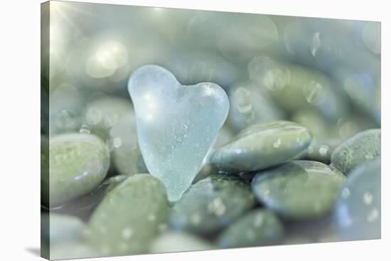 Heart-Shaped Beach Glass and Wet Rocks, Seabeck, Washington, USA-Jaynes Gallery-Premier Image Canvas