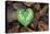 Heart-shaped leaf of Alpine Cyclamen, Croatia-Alex Hyde-Premier Image Canvas