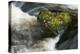 Heart-shaped mossy rock in fast flowing river, Ayrshire-Niall Benvie-Premier Image Canvas