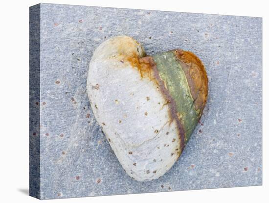 Heart-Shaped Pebble, Scotland, UK-Niall Benvie-Premier Image Canvas