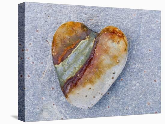 Heart-Shaped Pebble, Scotland, UK-Niall Benvie-Premier Image Canvas