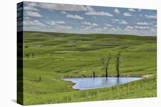 heart shaped pond in the Flint Hills of Kansas-Michael Scheufler-Premier Image Canvas