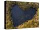 Heart-Shaped Pool on Saltmarsh, Argyll, Scotland, UK, November 2007-Niall Benvie-Premier Image Canvas