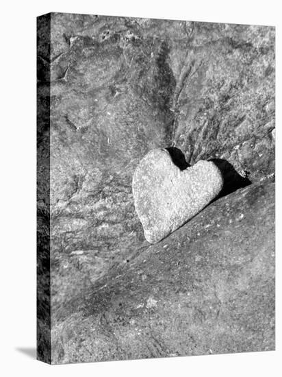 Heart Shaped Rock, Sradled in Larger Rock-Janell Davidson-Premier Image Canvas