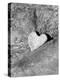Heart Shaped Rock, Sradled in Larger Rock-Janell Davidson-Premier Image Canvas
