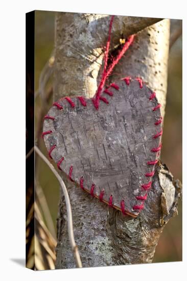 Heart, Tree, Bark, Love-Andrea Haase-Premier Image Canvas